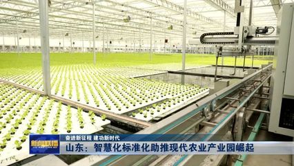 山東:智慧化標(biāo)準(zhǔn)化助推現(xiàn)代農(nóng)業(yè)產(chǎn)業(yè)園崛起