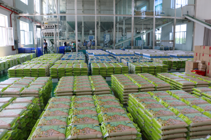 稻米循環產業助力鄉村振興