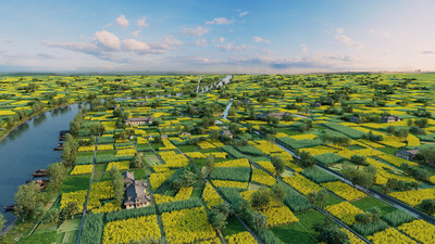 鳥瞰平原農(nóng)田,現(xiàn)代田園,農(nóng)田鳥瞰,油菜花田,生態(tài)農(nóng)村,生態(tài)田園,生態(tài)農(nóng)業(yè)鳥瞰田野,河流,田野,漁船,