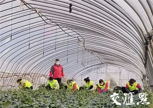 江蘇戰(zhàn)疫全景圖 無錫 預(yù)計挽回損失約10萬元 錫菜通 今年首單農(nóng)產(chǎn)品交易落地