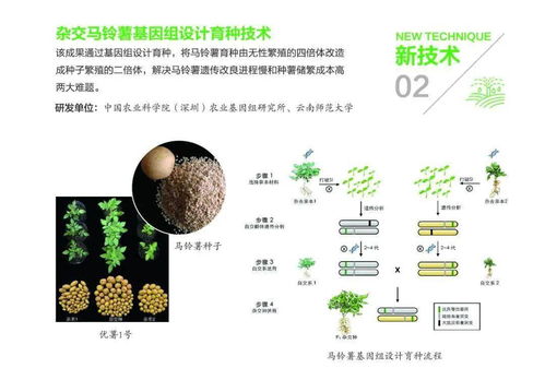 組圖丨31項農(nóng)業(yè)農(nóng)村重大新技術(shù)新產(chǎn)品新裝備發(fā)布