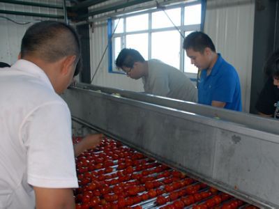 134團(tuán)開足馬力加工番茄 - 國內(nèi)新聞 - 新聞資訊 - 農(nóng)村信息網(wǎng)-農(nóng)業(yè)信息-農(nóng)民工招聘-農(nóng)產(chǎn)品價格行情-養(yǎng)殖技術(shù)
