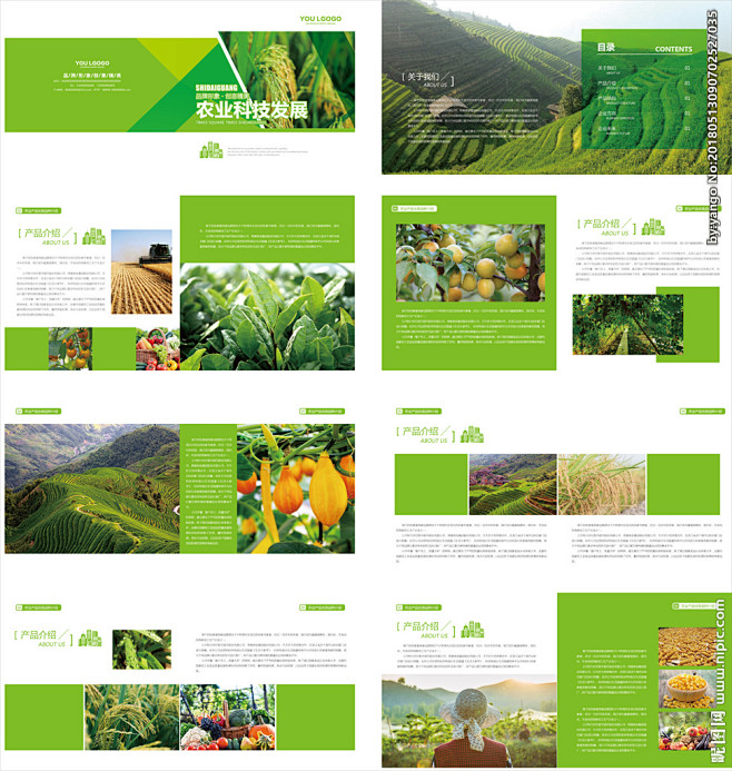 中墾集團湖北神農架特產畫冊|平面|宣傳品|liukaien - 站