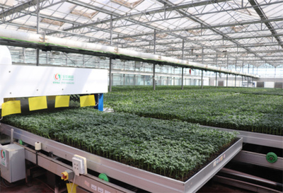山東省濟南市濟陽區(qū)智慧育苗賦能鄉(xiāng)村振興