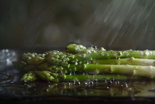 農產品成熟營養(yǎng)蔬菜蘆筍圖片攝影圖 廣告素材 下載至來源處