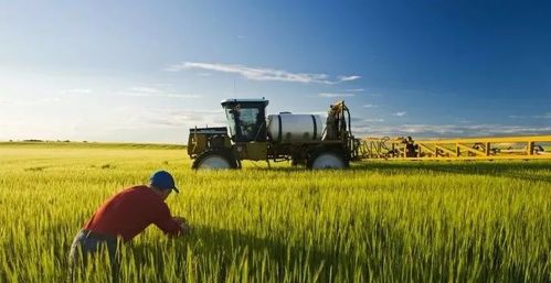 加拿大農業食品行業移民試點計劃afip公布細則