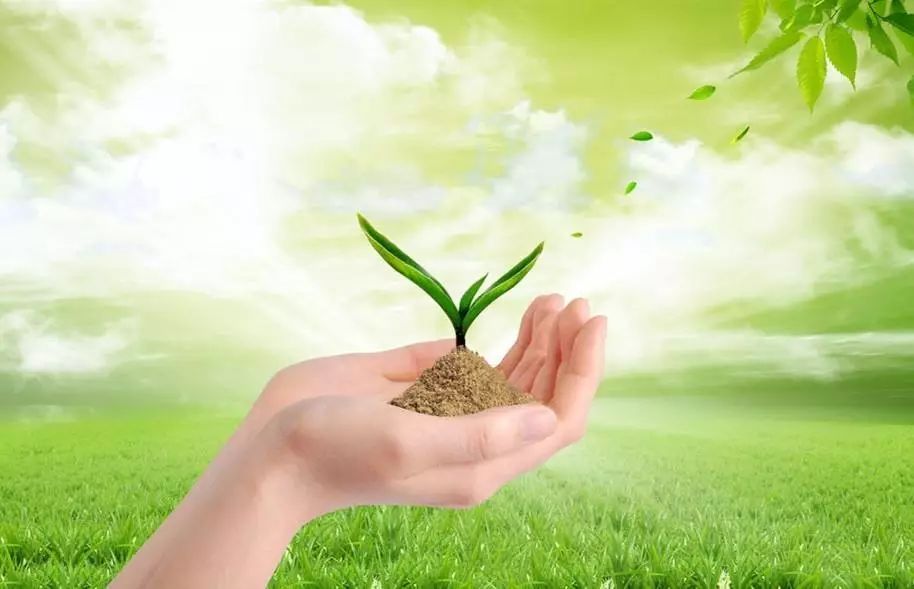 行業|&ldquo;不正經&rdquo;的綠色農業