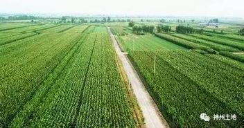 沒(méi)錯(cuò),這就是農(nóng)業(yè)的未來(lái)