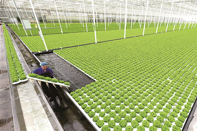 [中央紀(jì)委國家監(jiān)委網(wǎng)站]兩會觀察丨大國強(qiáng)農(nóng)向新行