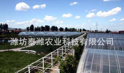農(nóng)產(chǎn)大棚 日光溫室大棚及套件 優(yōu)質(zhì) 大棚 【圖】