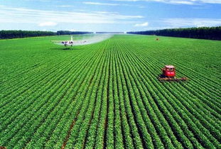 外媒眼中的中國農(nóng)業(yè)改革40年 從溫飽不足到全球貢獻者的轉型