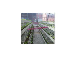 豐產(chǎn)劑2號產(chǎn)品信息及沈陽市農(nóng)業(yè)大學工廠化農(nóng)業(yè)技術服務中心介紹