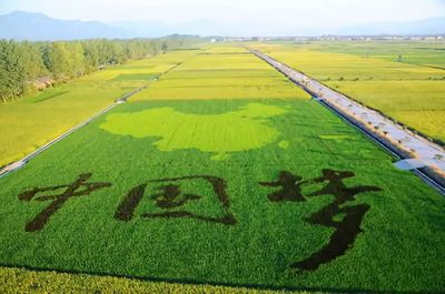 鄉(xiāng)村振興視域下的工農(nóng)關系變革 改革開放四十年的啟示