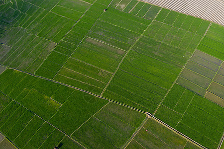 航拍桂林會仙濕地農田 生態農業的詩意畫卷
