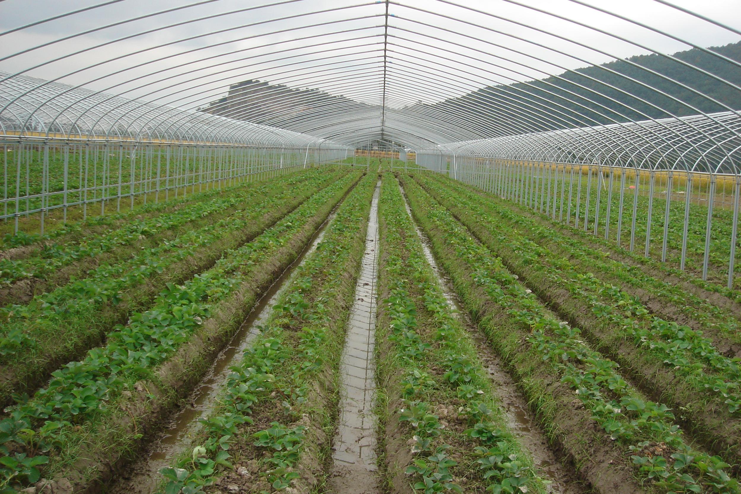 平陽三農 創新引領，譜寫三農發展新篇章