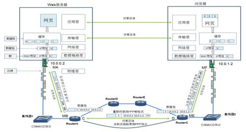 計算機網絡體系結構與TCP/IP協議 連接數字世界的基石